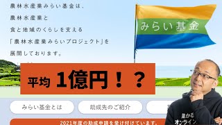 【農家必見】平均1億円、補助率最大90の助成金を解説〜農林水産業みらい基金〜 [upl. by Dopp]