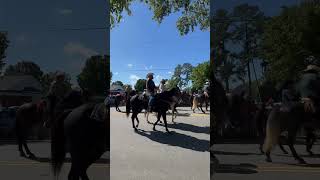 Mule Days 2024 shorts mules horses [upl. by Bass]