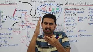 Ch4 Lec 2 Cell as unit and structure Microschope Fsc Part 1 UrduHindi lecture MDCATNEET NCERT [upl. by Kelton660]