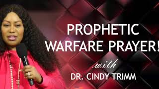 Dr Cindy Trimm Commanding Your Morning Prayer to pray with [upl. by Airekahs]