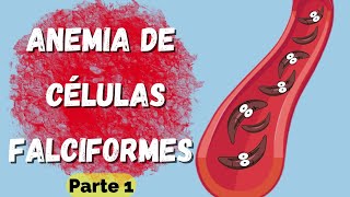 Anemia de Células Falciformes  Parte 1  Fisiopatología [upl. by Owain]