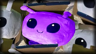 Why This ROBLOX Plushy costs 1200 [upl. by Derayne454]