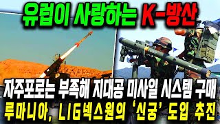 자주포로는 부족해 지대공 미사일 시스템 구매 l 루마니아 LIG넥스원의 ‘신궁’ 도입 추진 [upl. by Artnoed104]