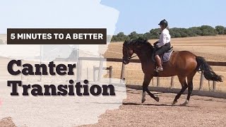 How To School A Horse To Get A Better Canter Transition [upl. by Nonahs869]