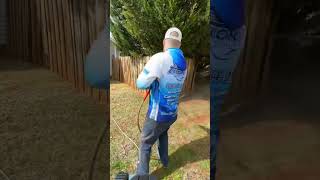 Privacy fence cleaning softwashing pressurewashing [upl. by Ellehc]