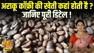 Araku Coffee Farming  अराकू कॉफ़ी की खेती कहां होती है  जानिए पूरी डिटेल   Farmer  DD Kisan [upl. by Tnahs318]