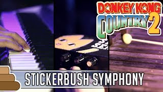 David Wise  Stickerbrush Symphony Donkey Kong Country 2 [upl. by Anitap354]