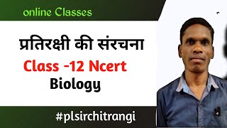 प्रतिरक्षी की संरचना Class12 Ncer Biology plsirchitrangi [upl. by Malik873]