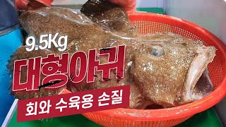 95KG 대형 아귀 특대 아귀 손질법과 회 수육 만드는 방법 대공개 How to clean Monkfish or Anglerfish 수아아빠TV [upl. by Llerod]