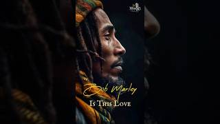 Bob Marley is this Love reggae reggaecommunity [upl. by Perron]