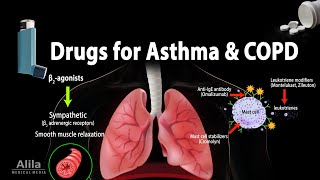 Pharmacology Drugs for Asthma and COPD Animation [upl. by Volnak]