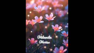 Anandham Madhike Song Whatsapp Status  Telugu [upl. by Halie]