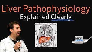 Liver Explained Clearly  Pathophysiology LFTs Hepatic Diseases [upl. by Werdna]