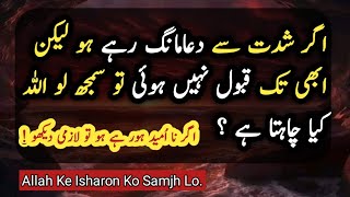 The Wisdom of Islam Profound Quotes in Urdu [upl. by Abran]