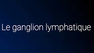 Histologie du ganglion lymphatique [upl. by Litnahc]