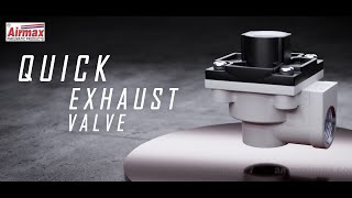 How Pneumatic Quick Exhaust Valve Works With Animation [upl. by Leinod440]