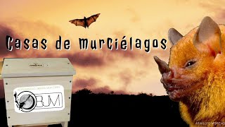 ¿Casitas de murciélagos🤔🦇🦇🦇Biodiversidad Urbana MonterreyBUM [upl. by Neelik689]