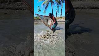 The boy is fishing in the pondfishing viralvideos fish 🐋🐳🐋🐟🐟🐟 [upl. by Kcuhc]