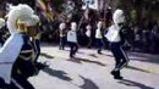 2008 Martin Luther King Jr Parade St Petersburg FL 2 [upl. by Walston24]