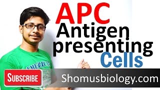 Antigen presenting cells APC [upl. by Delacourt]