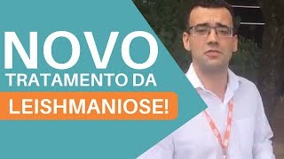 Tratamento Leishmaniose  Milteforan  Billy [upl. by Ytineres]