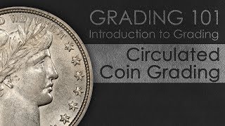 How to Grade Circulated Coins  Introduction to Coin Grading [upl. by Coppola159]