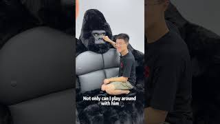 Turning AI into reality chimpanzees into sofas——Gorilla sofafurniture foshan furnitureitems [upl. by Fisa]