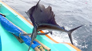 Fishing for Sailfish in sea [upl. by Thibault]