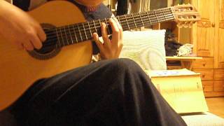 눈의 꽃雪の華 Yukino Hana  박효신 classical guitar solo [upl. by Eanahc]