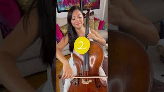 3 Best Movie Tunes on Cello Can you guess [upl. by Ferdinand]