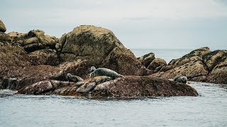 Discover the Isles of Scilly with a FlySail day trip [upl. by Notsla]