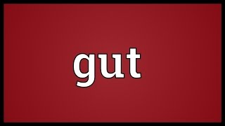 Gut Meaning [upl. by Varuag]