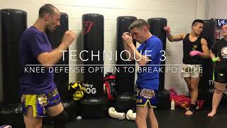 6 Muay Thai Techniques from Damien Trainor [upl. by Htaras]