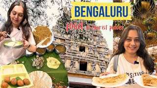 Famous BENGALURU Food Tourist Places new Terminal 2 Bangalore Airport Ayurvedic Spa  vlog [upl. by Eceinwahs]