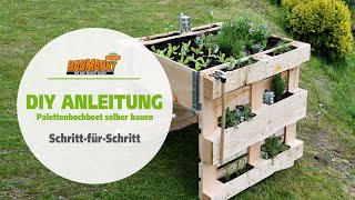 Palettenhochbeet selber bauen  GLOBUS BAUMARKT [upl. by Okire882]