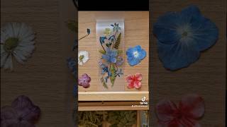 Laminating bookmark from dried flowers laminating etsyartseller bookmark diyideas [upl. by Boot]