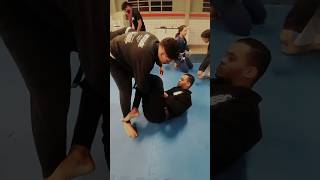 Raspagem da guarda laço jiujitsu [upl. by Howenstein]