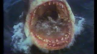 Jaws 1975 Movie Trailer [upl. by Nnylatsyrc]