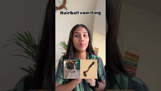 Hairball vomiting problem 🐱❤️ cat chloe youtubeshorts feline catlover funny pets [upl. by Enayd]