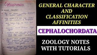 GENERAL CHARACTER AND CLASSIFICATION OF CEPHALOCHORDATA IN HINDI cephalochordatanotes zoology vbu [upl. by Dranyar]