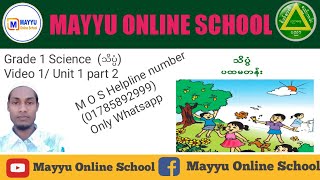 Grade 1 Science သိပ္ပံ အခန်း၁၂  Myanmar New Curriculum Video 2 Unit 1 Part 2 [upl. by Aigneis70]