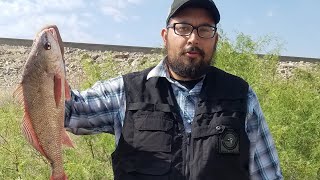 Catching Fresh Water Drums at Caballo Lake New Mexico [upl. by Aalst]