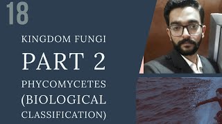 KINGDOM FUNGI PART 2 PHYCOMYCETES [upl. by Cartan]