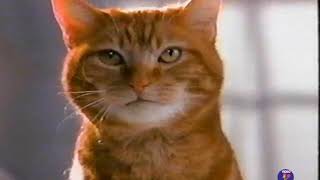 1993 Friskies Cat Food TV Commercial [upl. by Phox]