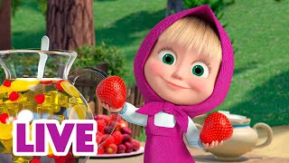 🔴 LIVE STREAM 🎬 Masha and the Bear 🤔 Picky Eaters 😋 [upl. by Alli]