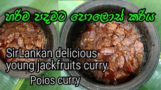 ✓හරිම පදමට පොලොස් කරියSrilankan delicious young jackfruits curry polos curry ndees foods [upl. by Leimad246]