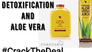 Aloe Vera Gel  Detoxification  Part  2  Hindi  Ankit Jain  FLP  Nutrition [upl. by Trebla]