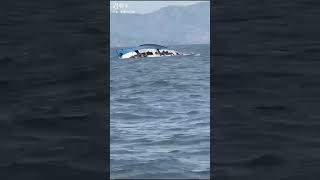 The boat sank while entering Greece from Turkey tiktok danki tiktok shorts viral [upl. by Cohette]