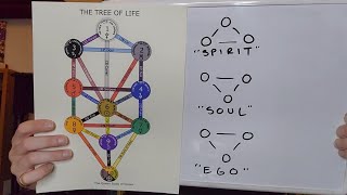 Introduction to The Tree of Life [upl. by Nitsew494]