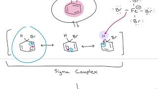 Draw the Mechanism for the Sulfonation of Benzene [upl. by Calloway]